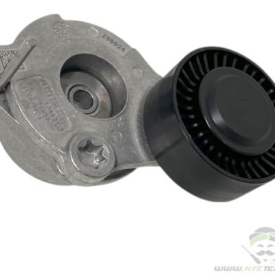 Riemenspanner Riemenspanndämpfer Audi A4 A5 A6 A7 A8 Q5 059903133BA